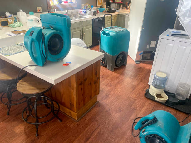 Best Carpet water damage restoration  in Honaunau Napoopoo, HI