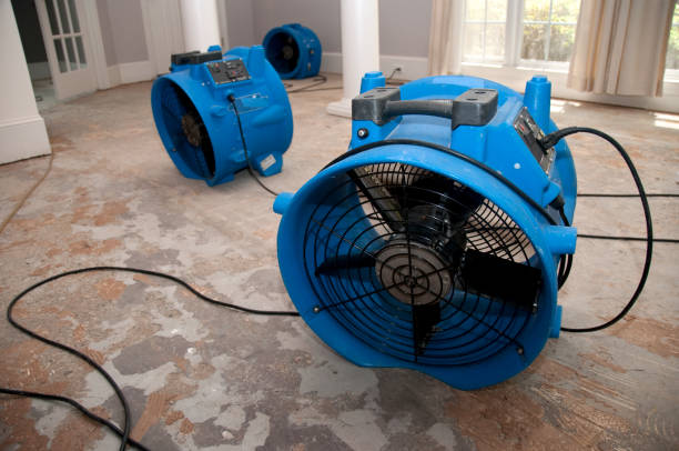 , HI Water damage restoration Company