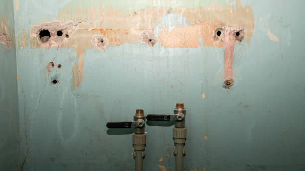 Best Flood damage cleanup  in Honaunau Napoopoo, HI