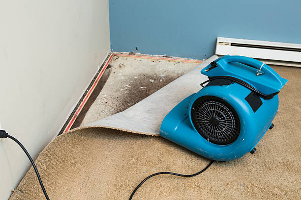 Best Residential water damage restoration  in Honaunau Napoopoo, HI